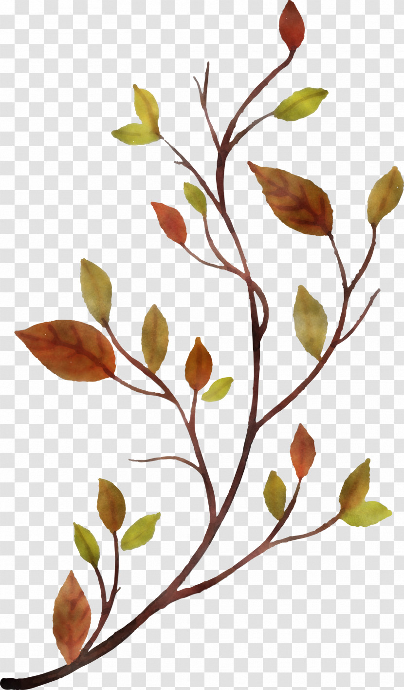 Plant Stem Flower Leaf Twig Tree Transparent PNG