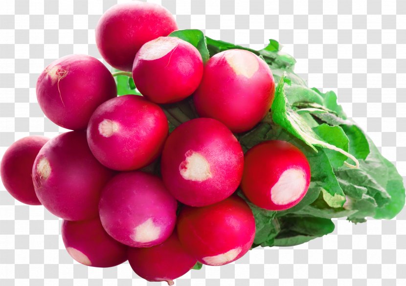 Garden Radish Vegetable Desktop Wallpaper Food Image - Frutti Di Bosco Transparent PNG