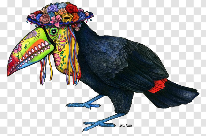 Bird Keel-billed Toucan Channel-billed Drawing Beak - Parrot Transparent PNG
