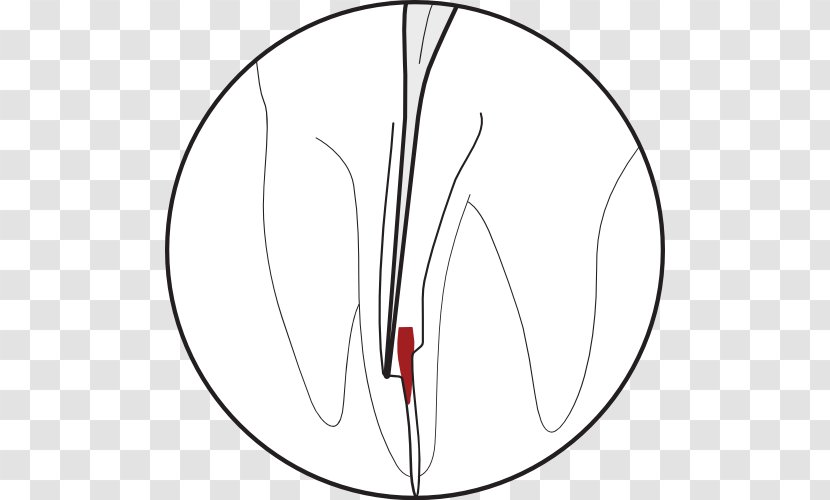 /m/02csf Drawing Line Art Cartoon Clip - Heart - Endodontic Transparent PNG