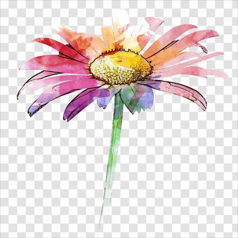 Gerbera Jamesonii Watercolor Painting - Common Sunflower - Hand Painted Transparent PNG