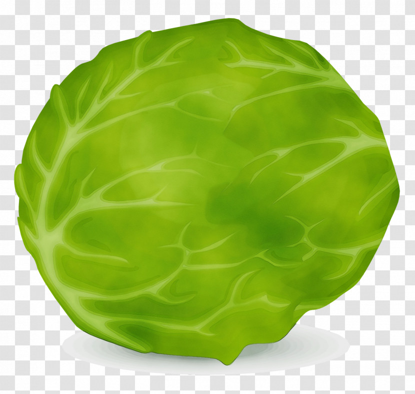 Collard Savoy Cabbage Lettuce Spring Greens Leaf Transparent PNG