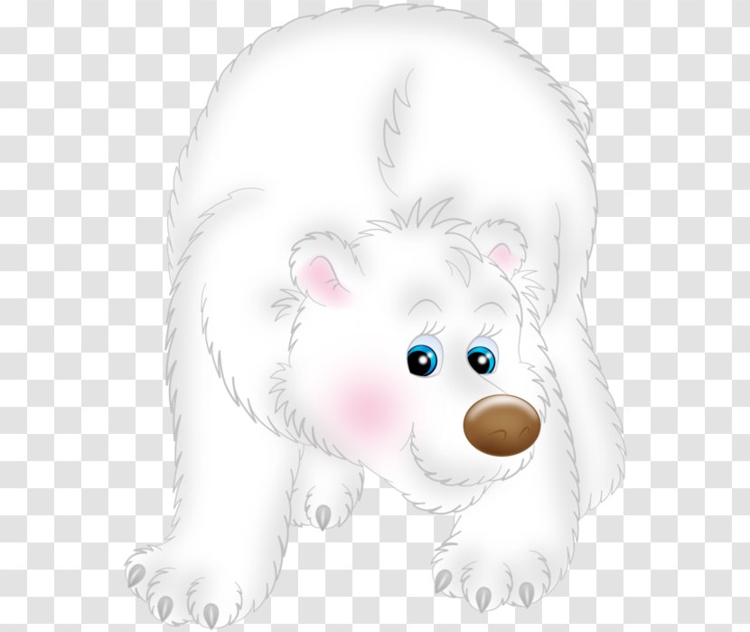 Clip Art Polar Bear Puppy Whiskers - Frame Transparent PNG