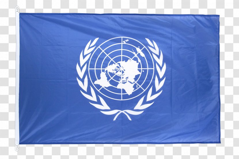 Flag Of The United Nations International Guinea-Bissau Charter - Observer Status Transparent PNG