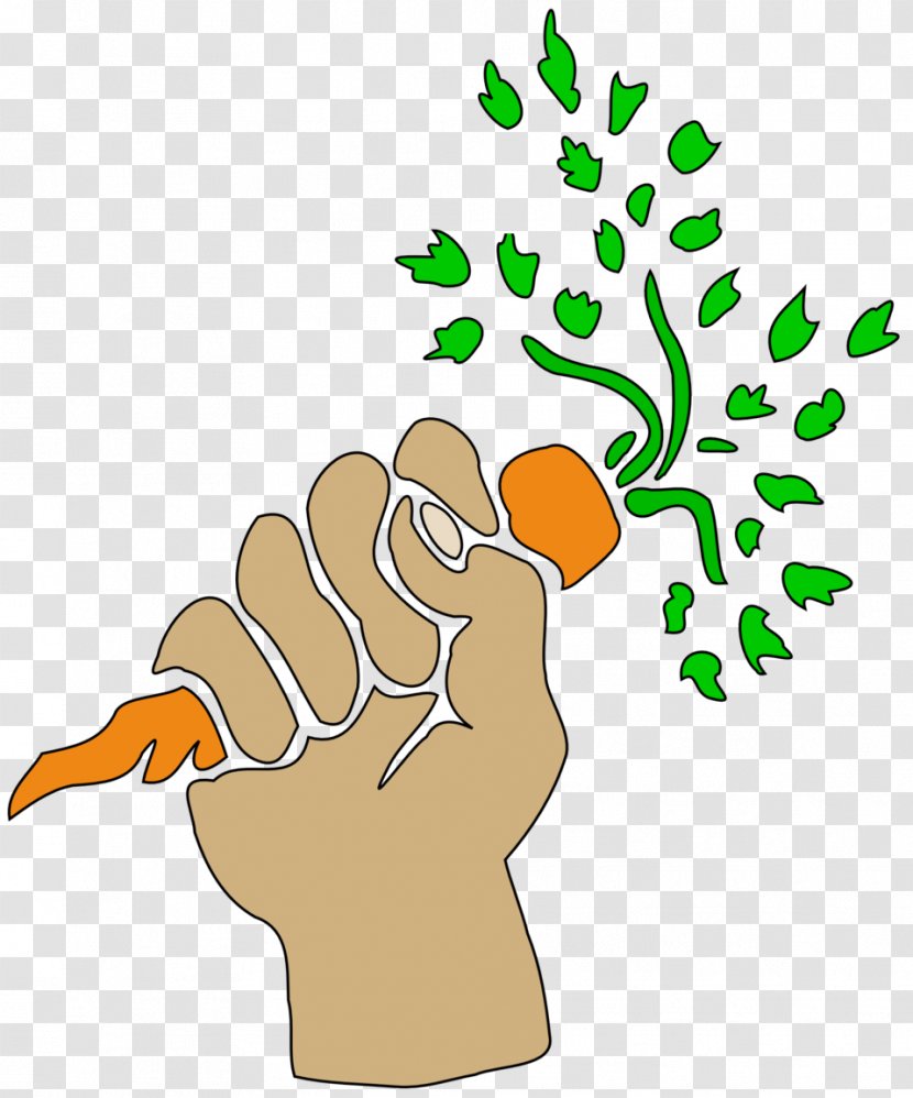 Drawing Carrot Clip Art - Food Transparent PNG