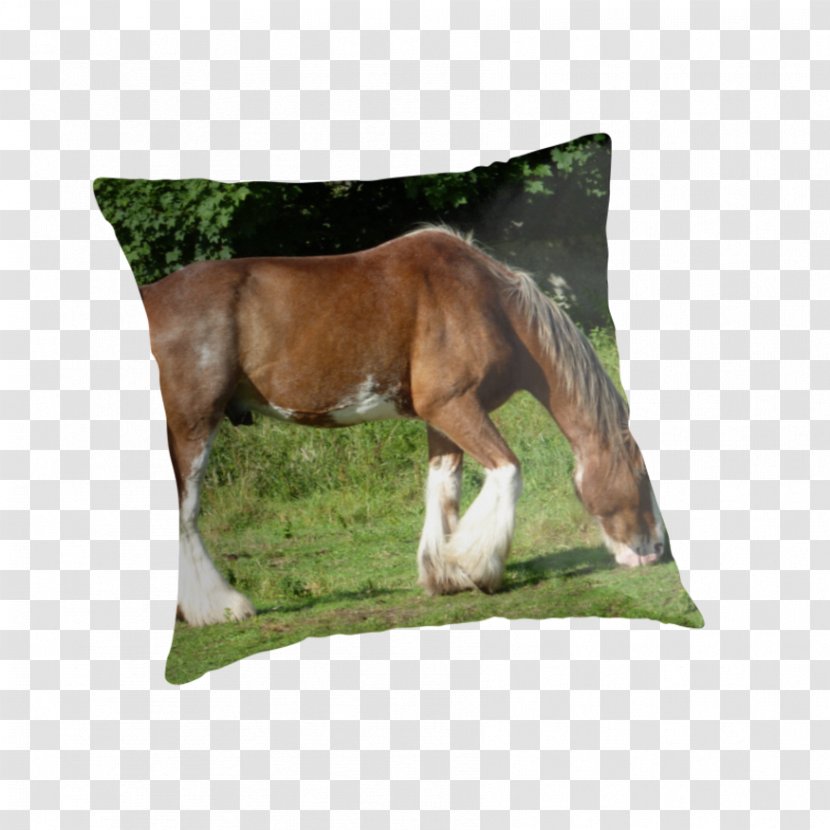 Mustang Foal Mare Stallion Throw Pillows - Pillow - Grazing Transparent PNG