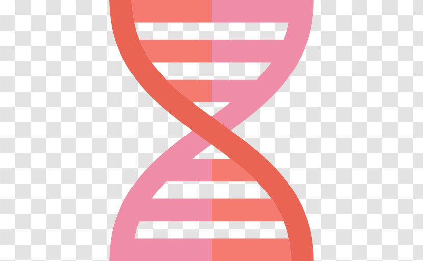 DNA Biology Nucleic Acid Structure - Vector Transparent PNG