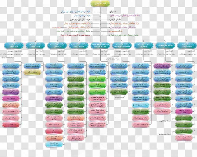 Organizational Chart Tehran Municipality Microsoft Structure Transparent PNG