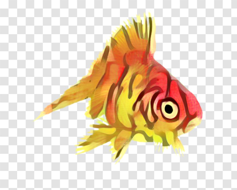 Fish Cartoon - Tail - Rayfinned Bonyfish Transparent PNG