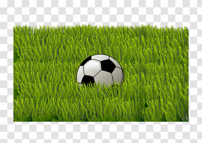 Football Serie C Sporting Goods - Grass Transparent PNG