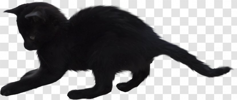 Jason Voorhees Friday The 13th: Game Cat - Dog Like Mammal Transparent PNG