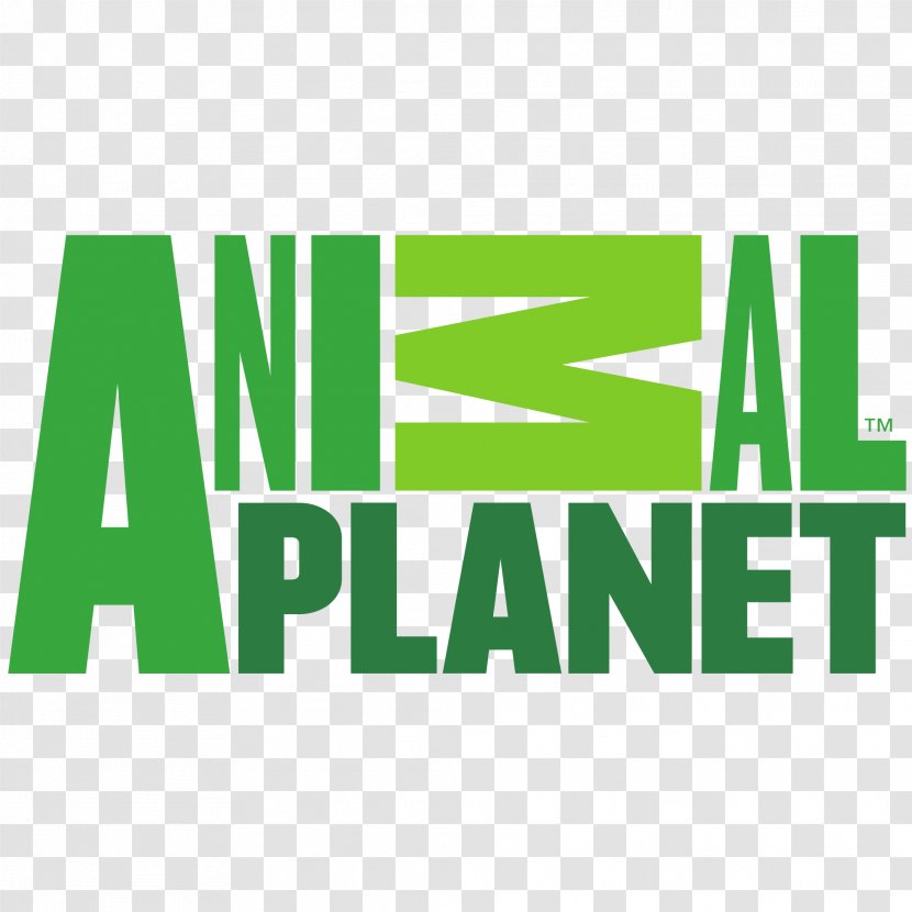 Animal Planet WWOR-TV Television Show Channel - Rectangle - Live Transparent PNG