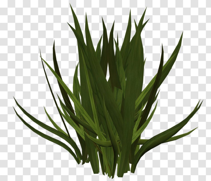 Grass Clip Art - Depositfiles Transparent PNG