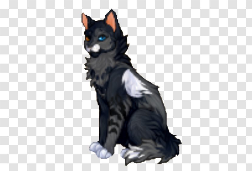 Whiskers Dog Black Cat Fur - Carnivoran Transparent PNG