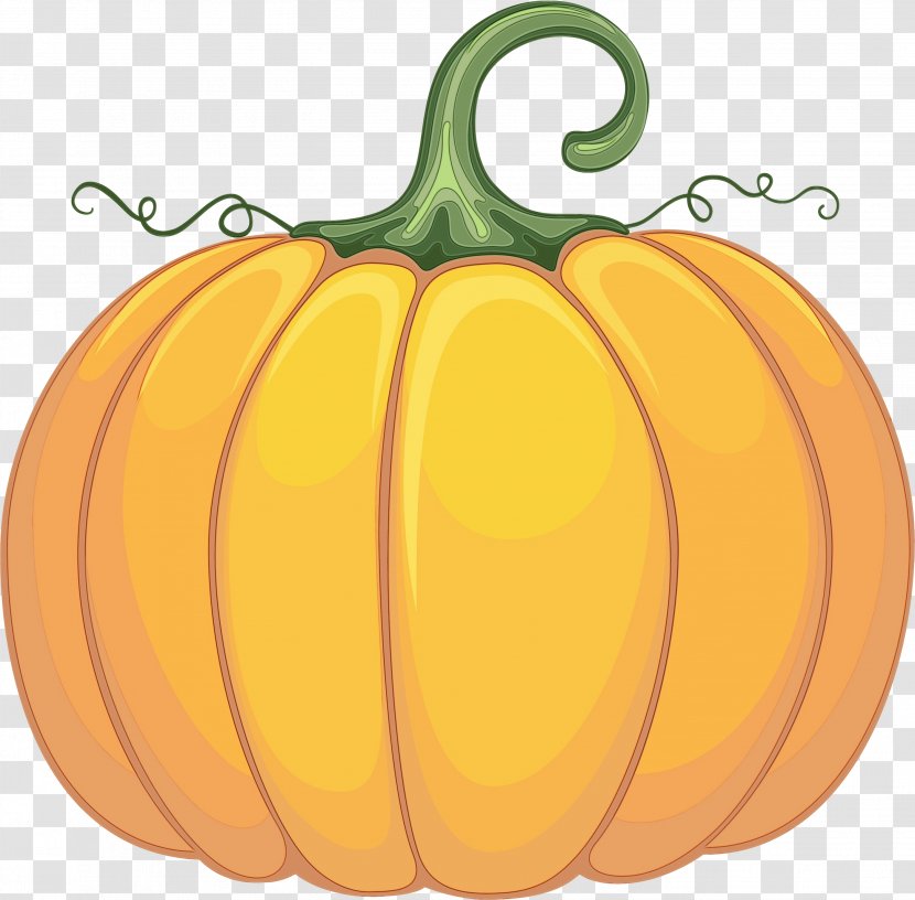 Pumpkin - Calabaza - Cucurbita Fruit Transparent PNG