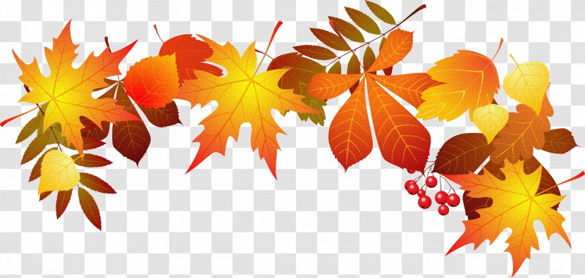 Autumn Leaf Color Clip Art - Leaves Transparent PNG