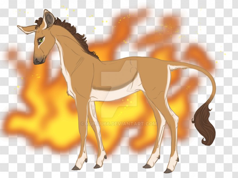 Foal Mane Colt Mare Stallion - Flower - Mustang Transparent PNG