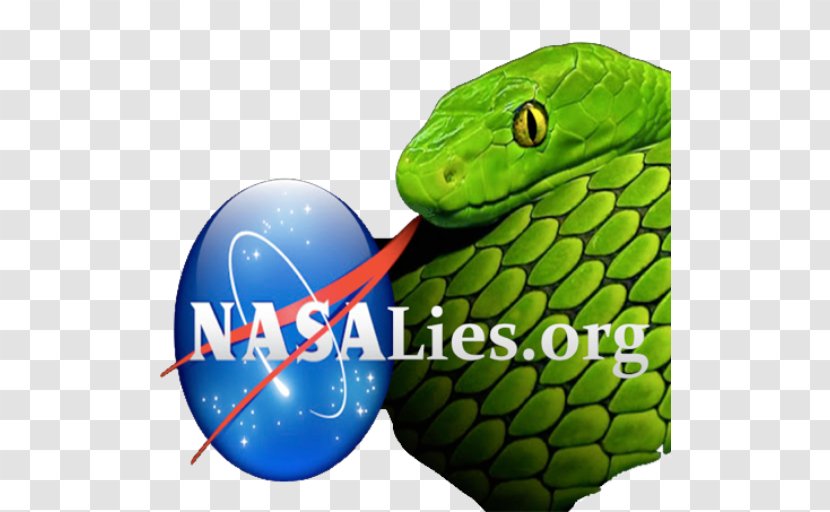 NASA Insignia Space Shuttle Challenger Disaster Organization - Green - Non Profit Transparent PNG