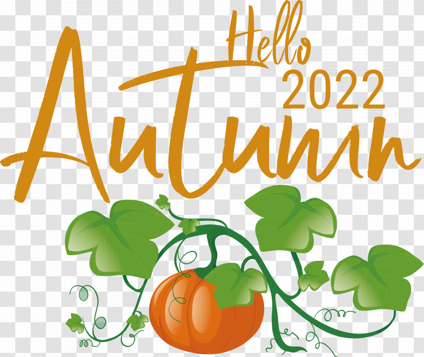 Pumpkin Transparent PNG