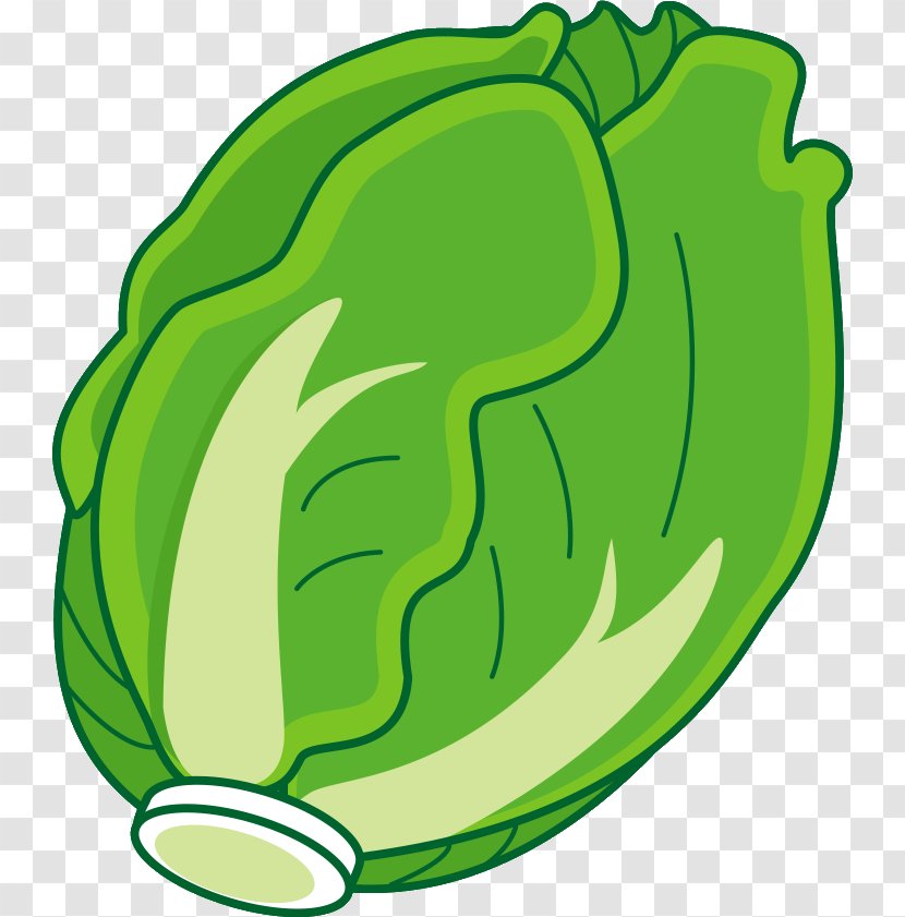 Napa Cabbage Nabemono Leaf Vegetable Oden - Tree Transparent PNG