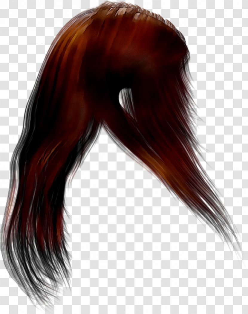 Hairstyle Cabelo Wig Black Hair - Brown - Layered Transparent PNG