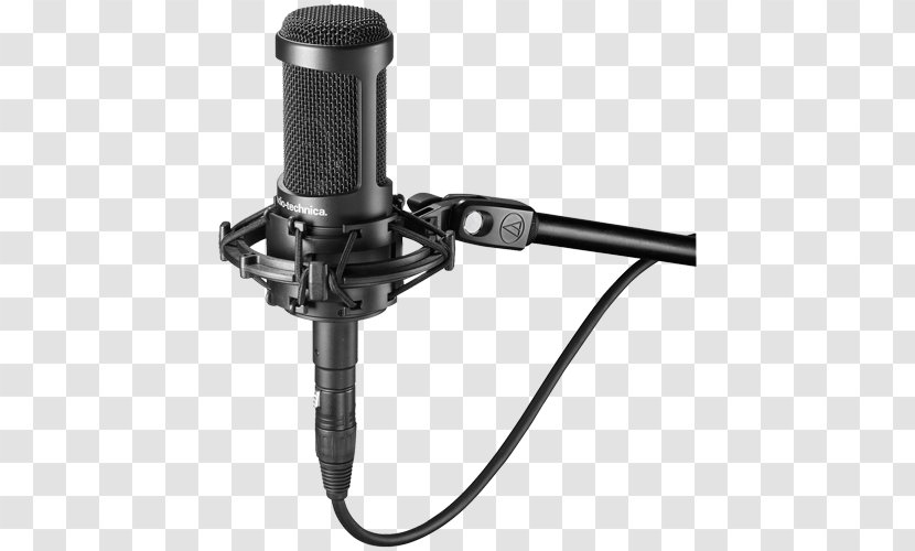 Microphone Audio-Technica AT2035 AUDIO-TECHNICA CORPORATION Recording Studio AT2020 - Flower Transparent PNG