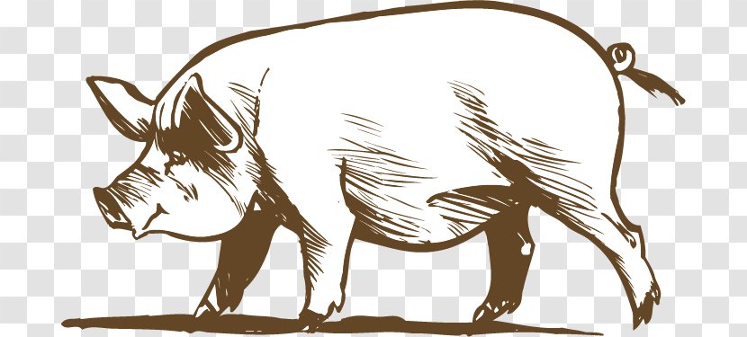 Cattle Pig Chicken Livestock - Like Mammal - Vector Transparent PNG