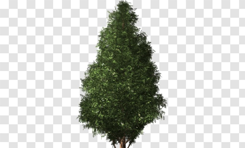 Pre-lit Tree Artificial Christmas Fir - Shrub Transparent PNG