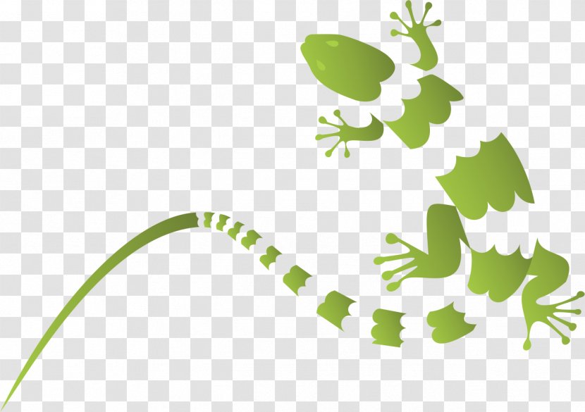 Leaf Plant Stem Flower Tree Clip Art - Green Transparent PNG