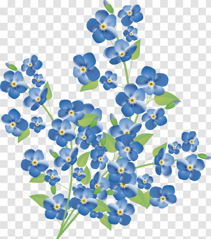 Myosotis Arvensis Flower Clip Art - Stock Photography - Mural Transparent PNG