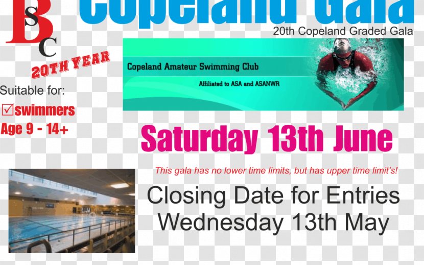 Online Advertising Copeland Brand Display - Errol Barrow Day Transparent PNG