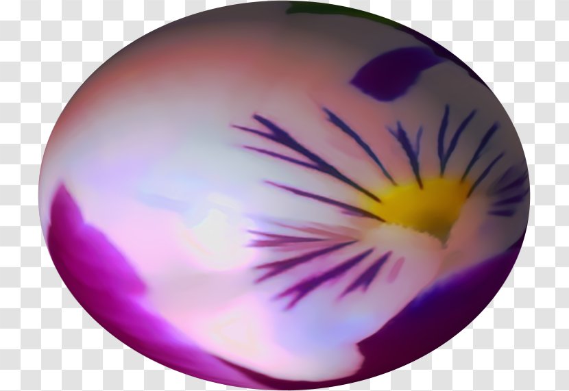 Desktop Wallpaper Computer Close-up - Violet - Seedpod Of The Lotus Transparent PNG