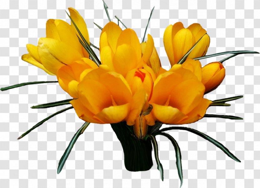 Flower Photography Clip Art - Liveinternet - Saffron Transparent PNG