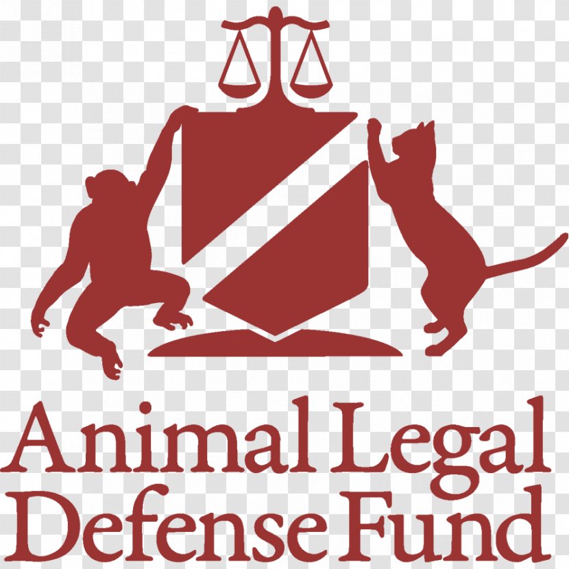Animal Legal Defense Fund Law College University Of New Mexico School - Scholarship - Student Transparent PNG