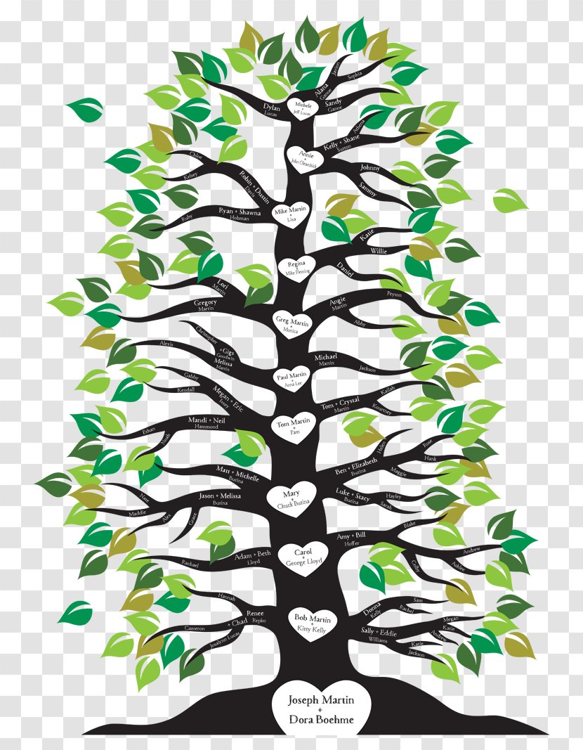 Family Tree Branch Root Transparent PNG
