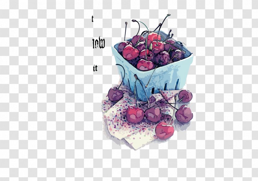Drawing Cherry Illustration Transparent PNG