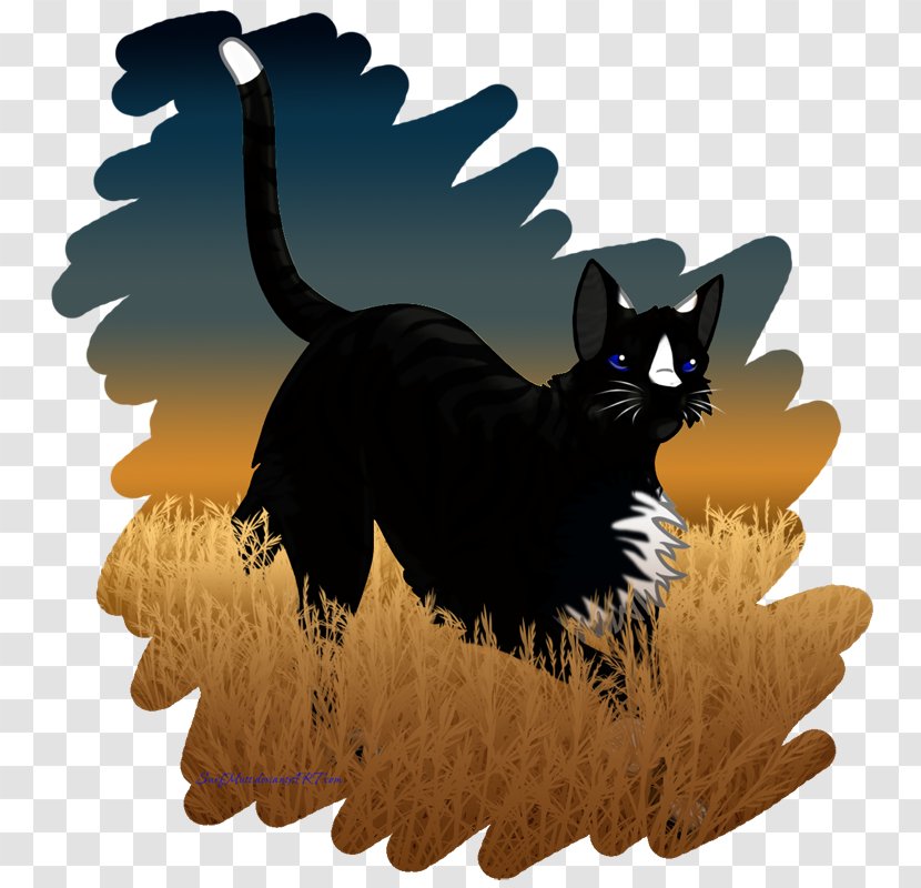 Cat Whiskers Dog Pet Paw - Wheat Fealds Transparent PNG