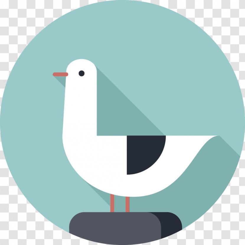 Gulls Bird Sea - Beak - Gull Transparent PNG