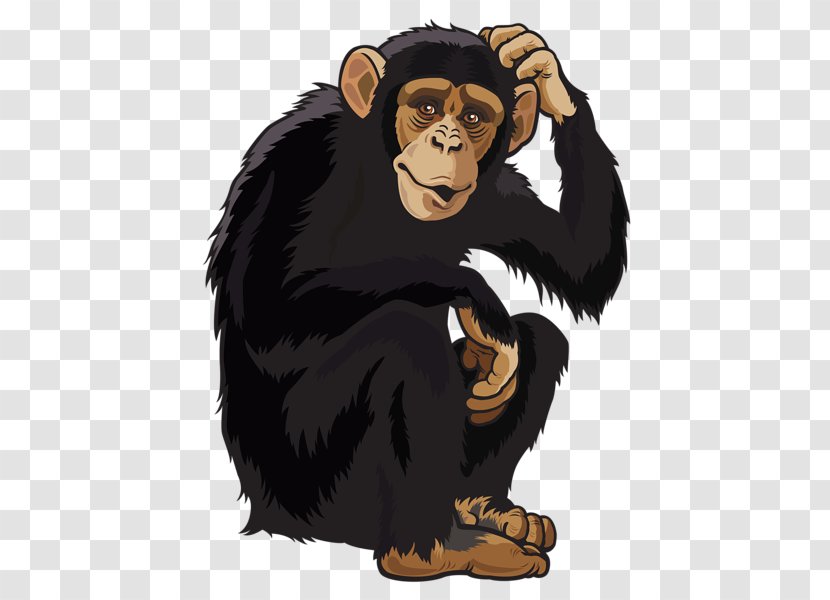 Orangutan Monkey Clip Art - Cartoon Transparent PNG