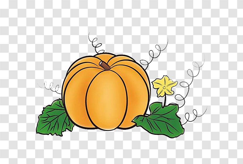 Hobak-juk Pumpkin Pie Jack-o-lantern - Citrus Transparent PNG