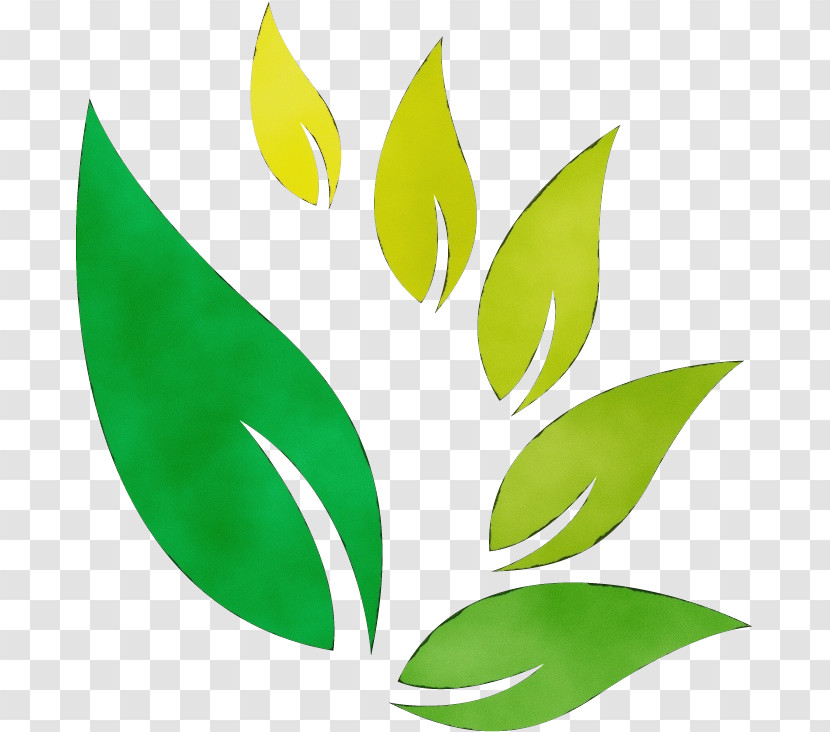 Leaf Plant Stem Chemistry Consumer Research Transparent PNG