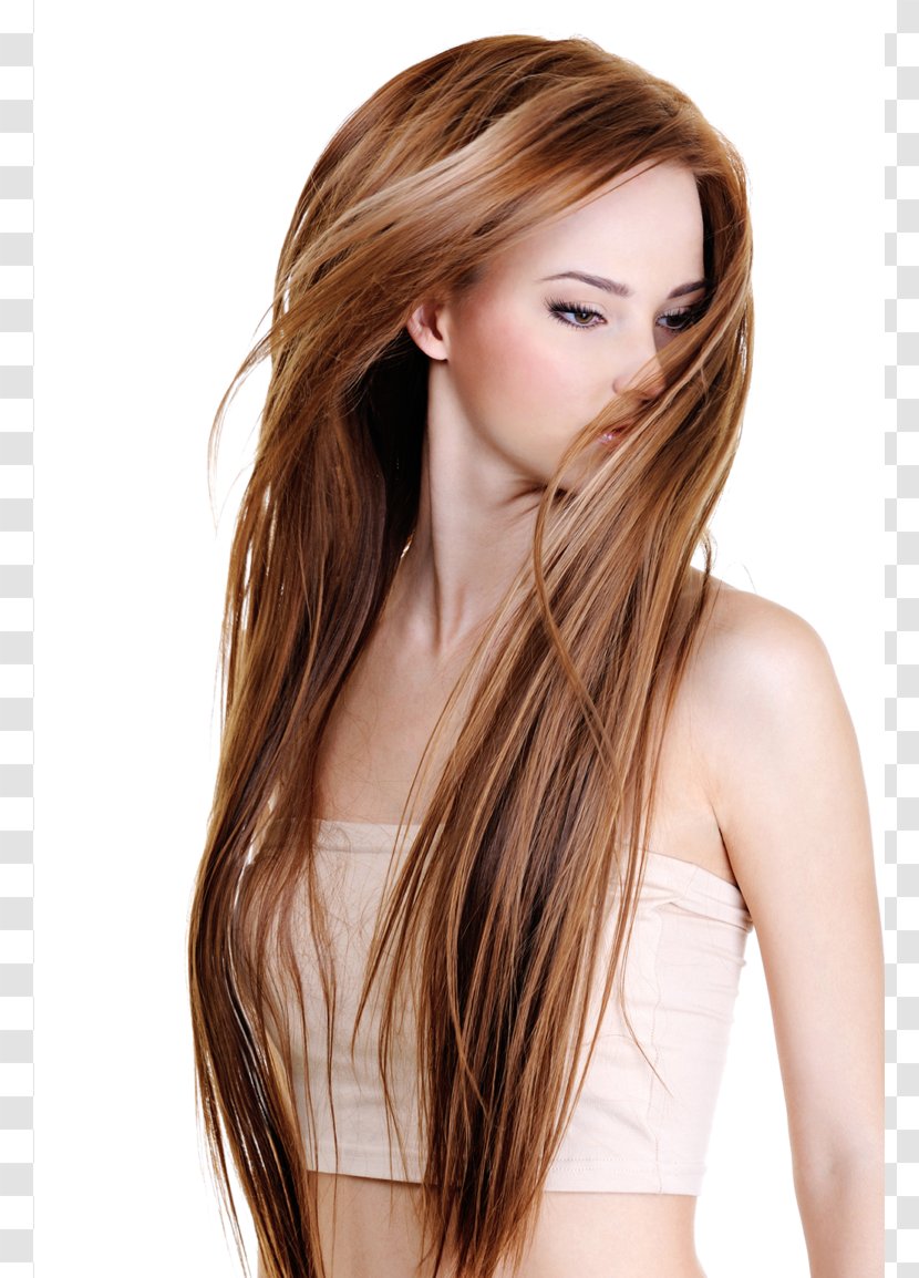Hairstyle Long Hair Human Color - Silhouette Transparent PNG