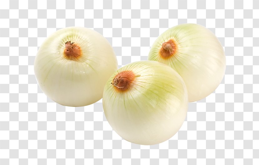 Shallot Vegetable Scallion Carrot - Onion Genus - Fresh White Onions Transparent PNG
