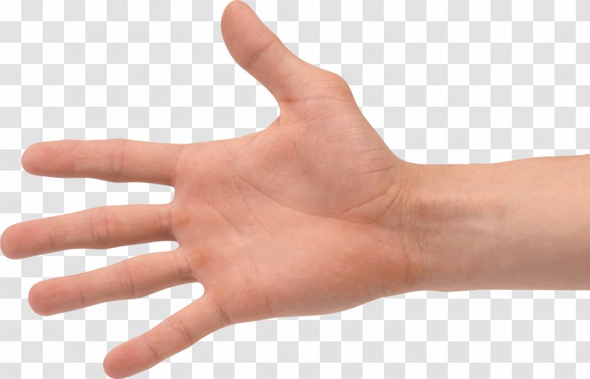 Hand Finger Clip Art - Arm Transparent PNG