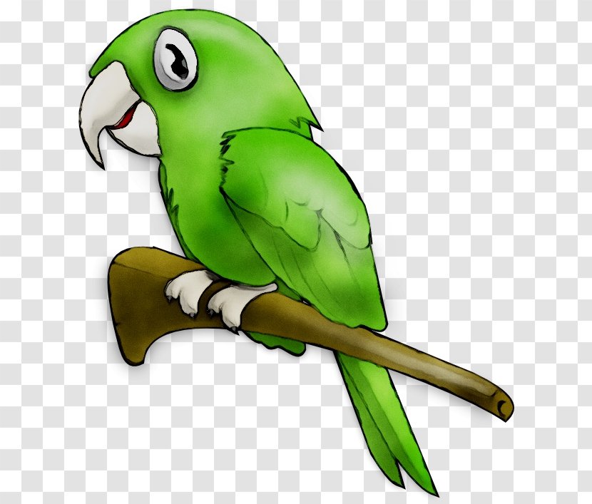 Clip Art Openclipart Free Content Loro Park - Green - Macaw Transparent PNG