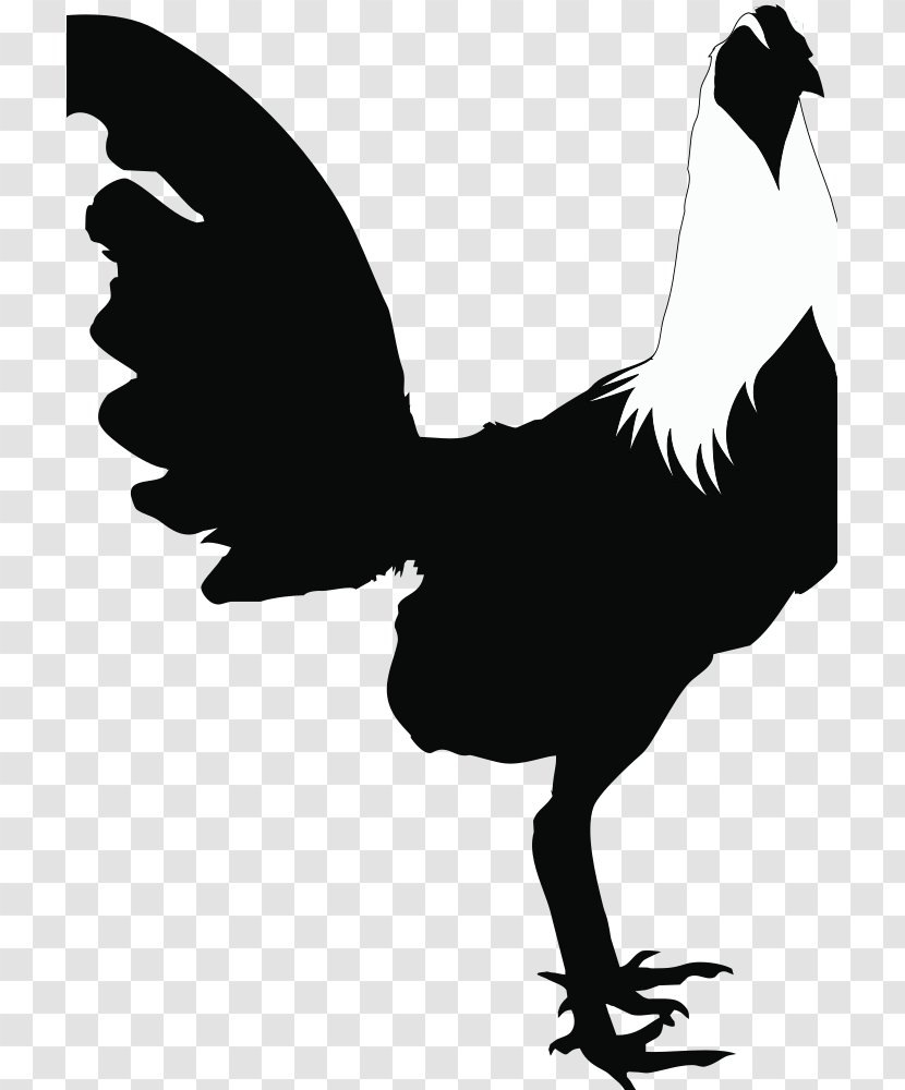 Rooster Chicken Silhouette Black And White Clip Art Transparent PNG