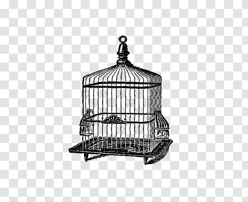 Birdcage Domestic Canary Clip Art - Drawing - Bird Cage Transparent PNG