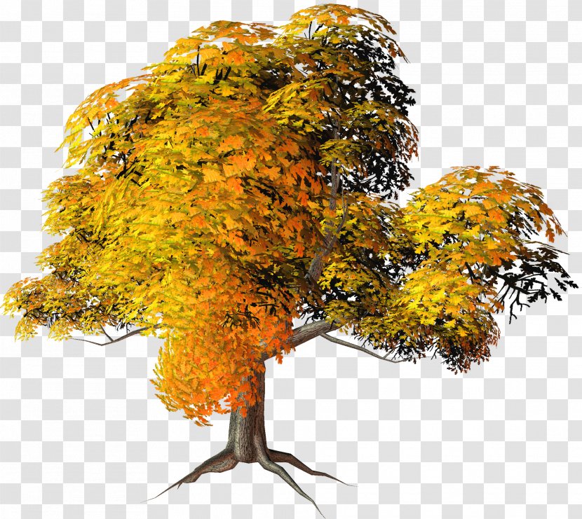 Autumn Tree Clip Art - Color - Large Yellow Fall Clipart Transparent PNG