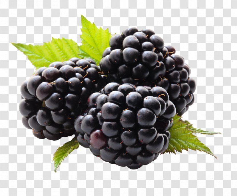 Juice Blackberry Fruit Raspberry - Grape Transparent PNG