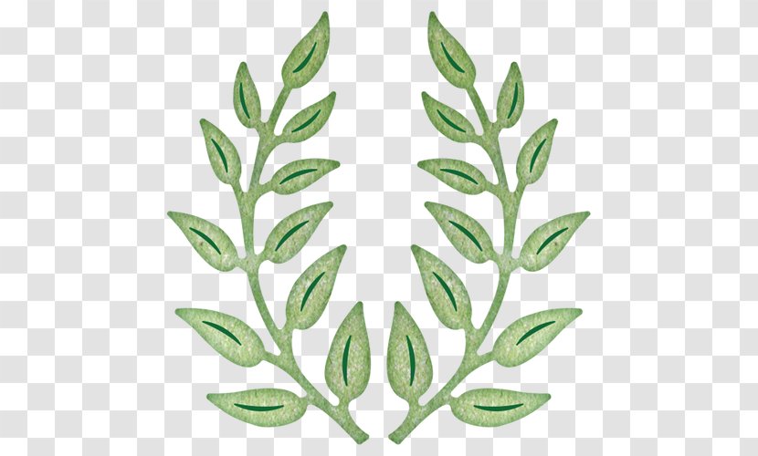 Olive Branch Paper Cheery Lynn Designs - Plant Transparent PNG